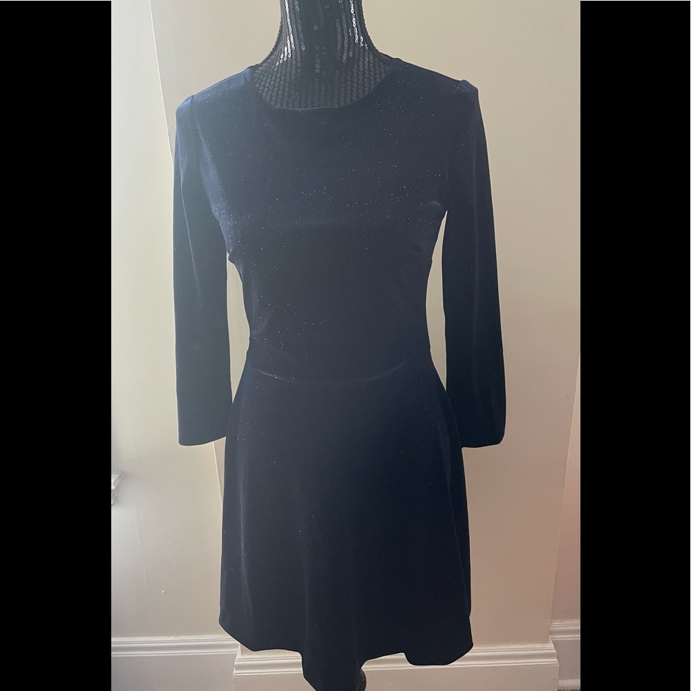 Zara Basic Dark Blue velvet Sparkle Dress Size Small